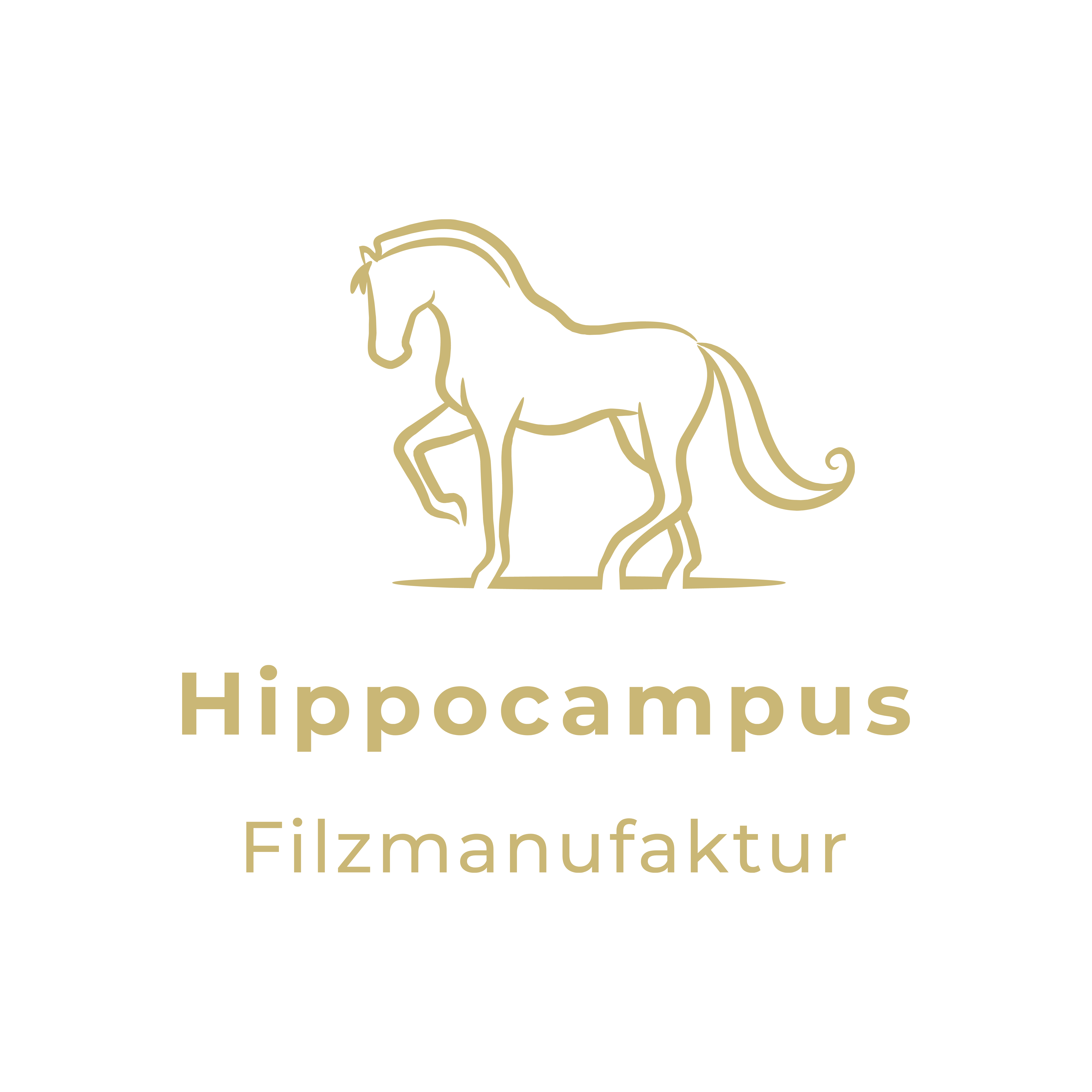 Hippocampus - Filzmanufaktur