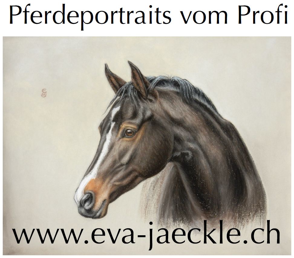 Eva Jaeckle