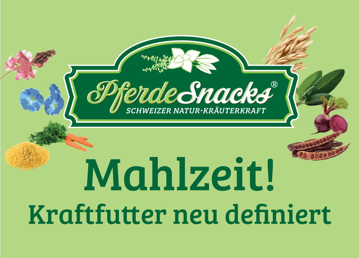 Pferdesnacks