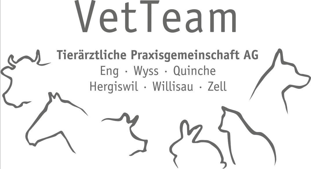 VetTeam, Tierärztliche Praxisgemeinschafts AG