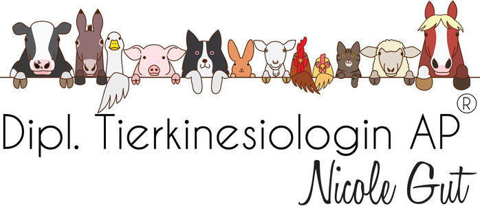Tierkinesologie Nicole Gut